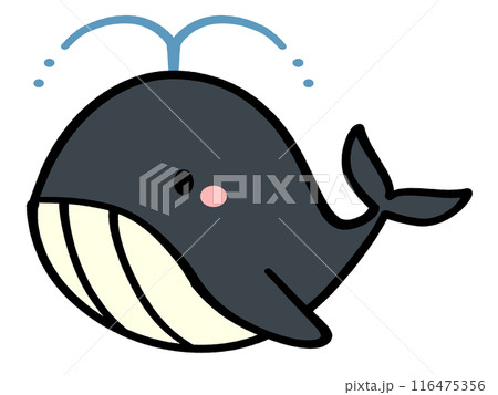 かわいいクジラのキャラクターイラスト素材 116475356