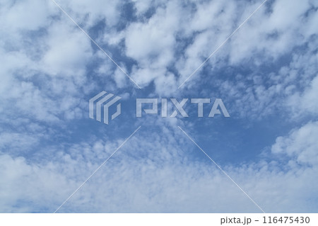 時間がゆっくり永るる、秋の空と雲 時間がゆっくり永るる、秋の空と雲 116475430