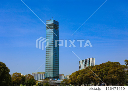 【千葉県千葉市】千葉ポートタワーと青空の風景 【千葉県千葉市】千葉ポートタワーと青空の風景 116475460