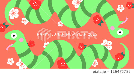 Chinese new year card with cartoon snake and flowers pattern. Chinese new year card with cartoon snake and flowers pattern. 116475785