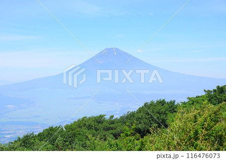 芦ノ湖スカイラインの三国峠から望む夏の富士山 116476073