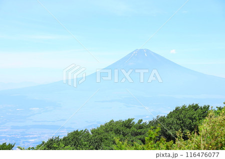芦ノ湖スカイラインの三国峠から望む夏の富士山 116476077