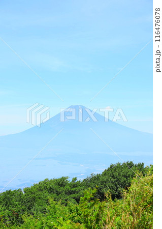 芦ノ湖スカイラインの三国峠から望む夏の富士山 116476078