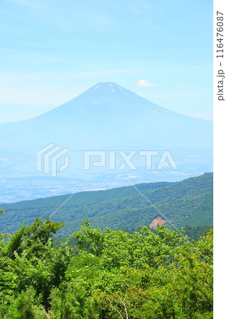 芦ノ湖スカイラインの杓子峠から望む夏の富士山 116476087