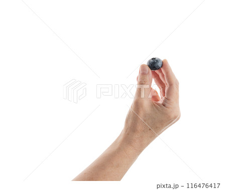 Mid aged female hold blueberry isolated on white Mid aged female hold blueberry isolated on white 116476417