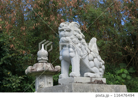 宮古島スナップ(宮古神社) 宮古島スナップ(宮古神社) 116476494