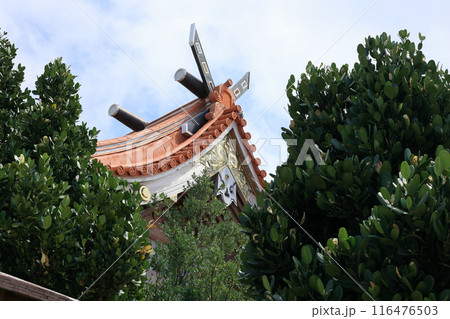 宮古島スナップ(宮古神社) 宮古島スナップ(宮古神社) 116476503