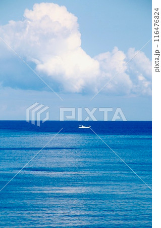 白兎海岸・はくとかいがん(鳥取県・鳥取市) 白兎海岸・はくとかいがん(鳥取県・鳥取市) 116476824