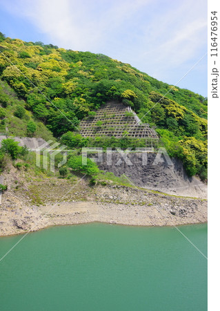 兵庫県淡路島 牛内ダム 兵庫県淡路島 牛内ダム 116476954
