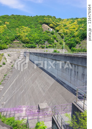 兵庫県淡路島　牛内ダム 116476964
