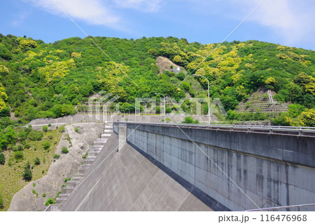 兵庫県淡路島　牛内ダム 116476968