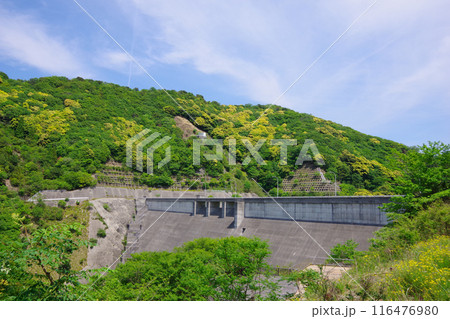 兵庫県淡路島　牛内ダム 116476980