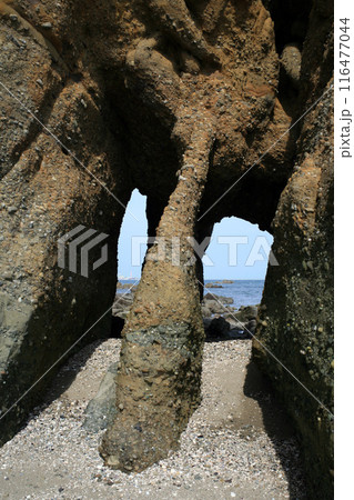 本山岬のくぐり岩 116477044