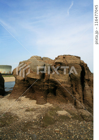 本山岬のくぐり岩 116477045