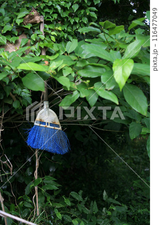 藪の中の箒 116477049