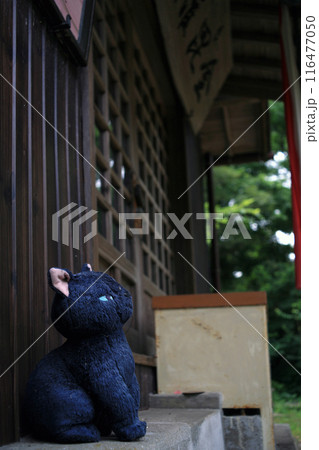 金毘羅神社の猫 116477050