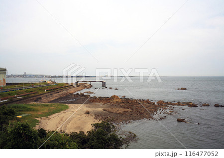 本山岬から見えるコンビナート 本山岬から見えるコンビナート 116477052