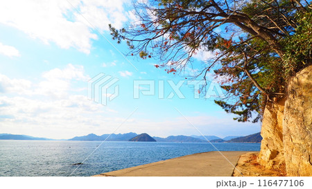 瀬戸内海の散歩道 瀬戸内海の散歩道 116477106