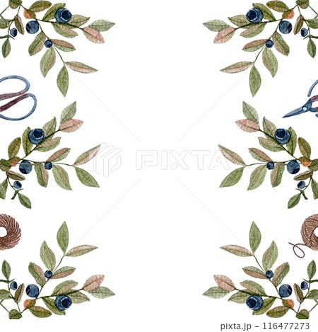 Blueberry sprig, scissors, jute rope watercolor vertical seamless pattern isolated on white. Hand drawn wild edible forest plant in simple style for woodland designs, wrapping paper, textile, packages 116477273