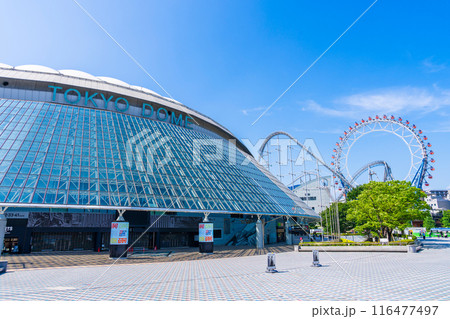 東京ドーム 116477497