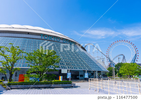 東京ドーム 116477500
