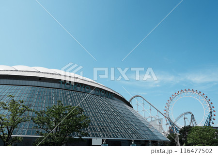 東京ドーム 116477502