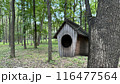 Hanging house for wild birds in park against background of trees in sunny weather, homemade bird feeder made of wood, people caring about birds 116477564