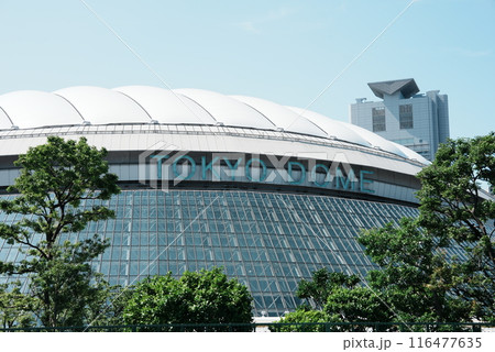 東京ドーム 116477635