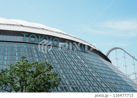 東京ドーム 116477715