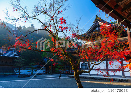 佛通寺の紅葉 116478038