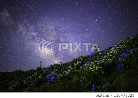 《徳島県》大川原高原からの天の川と紫陽花 116478329