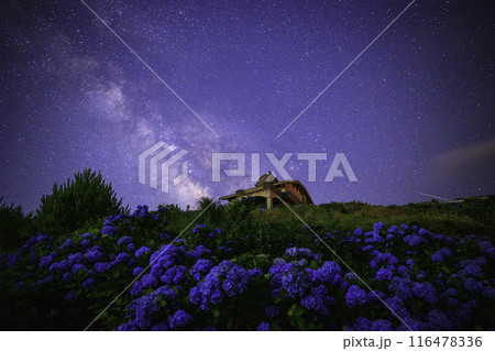 《徳島県》大川原高原からの天の川と紫陽花とヒルトップハウス 116478336