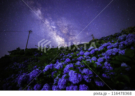 《徳島県》大川原高原からの天の川と紫陽花 116478368