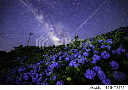 《徳島県》大川原高原からの天の川と紫陽花 116478381