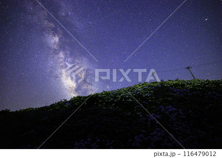徳島県》大川原高原からの天の川と紫陽花と星空 116479012