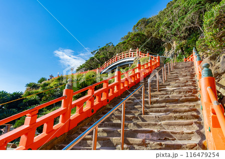 鵜戸神宮の参道の風景 鵜戸神宮の参道の風景 116479254