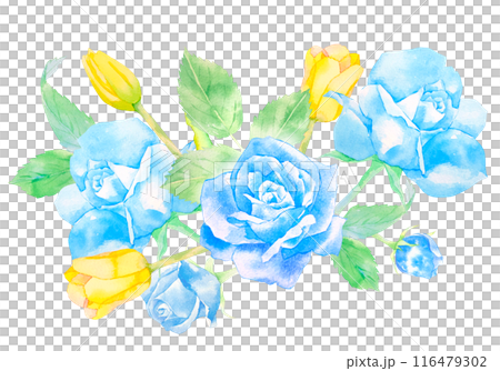 青いバラと黄色いチューリップのフラワーアレンジメント水彩イラスト 青いバラと黄色いチューリップのフラワーアレンジメント水彩イラスト 116479302