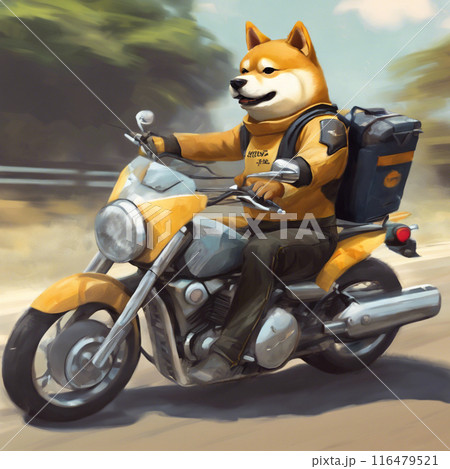 バイクを運転する仔犬の柴犬 116479521