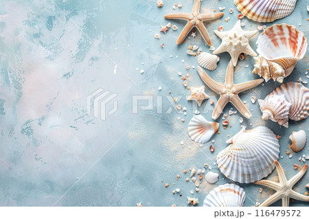 Beautiful seashells and starfish on a blue background with a top view of copy space. Summer vacation concept. Copyspace 116479572