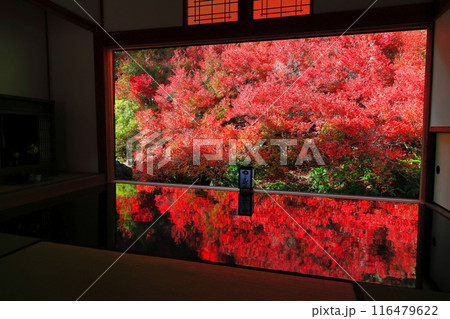 【兵庫県】紅葉の「ゆかドウダン」但馬安国寺 116479622
