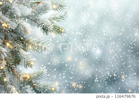Winter background, close up of frosted pine branch on a snowing day with. copy space 116479676