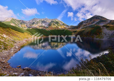 立山アルパイン　秋景色 116479700