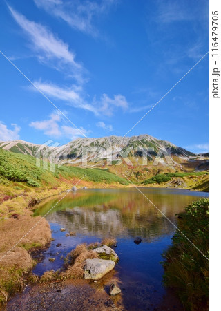 立山アルパイン 秋景色 立山アルパイン 秋景色 116479706