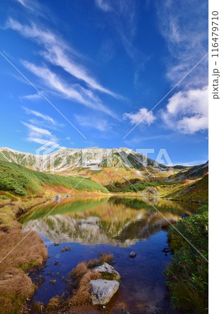 立山アルパイン 秋景色 立山アルパイン 秋景色 116479710