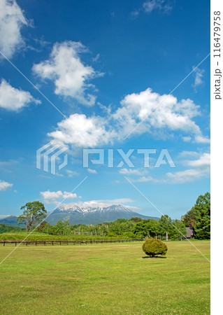快晴の下、木曽馬の里から望む残雪の御嶽山と初夏の開田高原 116479758