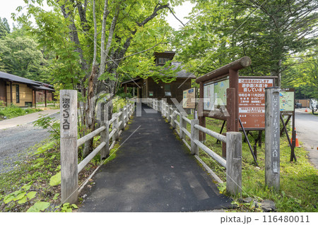 夏の蔦沼　沼めぐりの小路　入口　青森県十和田市 116480011