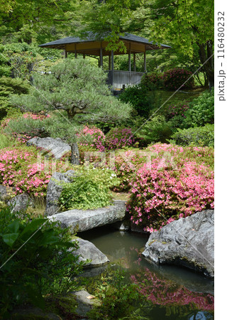 三室戸寺　庭園　与楽園 116480232
