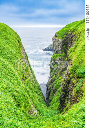 【北海道】道東の涙岬 【北海道】道東の涙岬 116480435