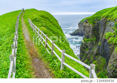 【北海道】道東の涙岬 【北海道】道東の涙岬 116480438
