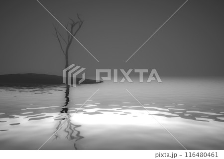 Dry single tree 116480461